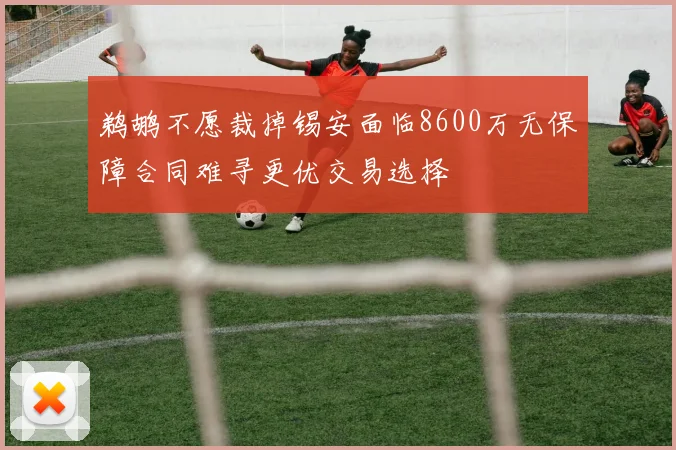 鹈鹕不愿裁掉锡安面临8600万无保障合同难寻更优交易选择